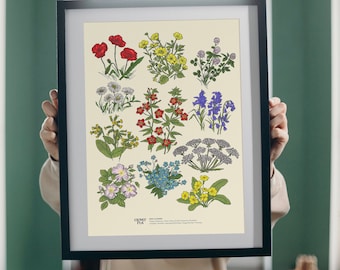 Irish Flowers Study - Print