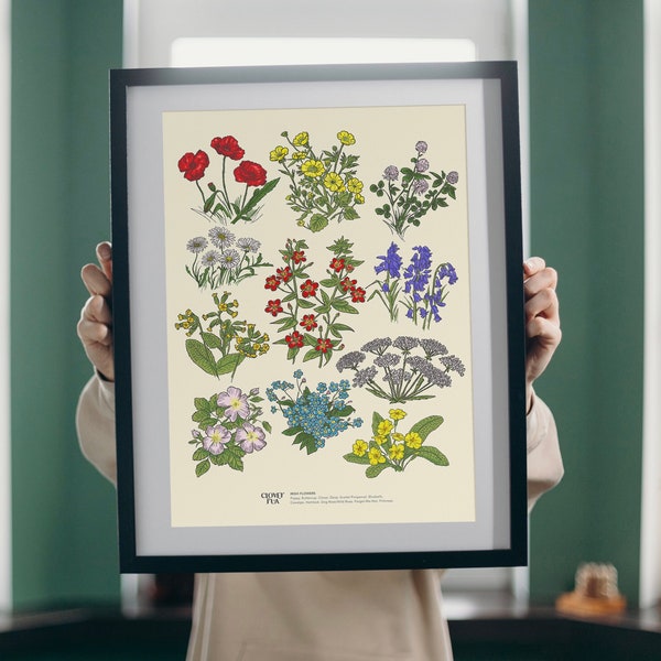 Irish Flowers Study - Print