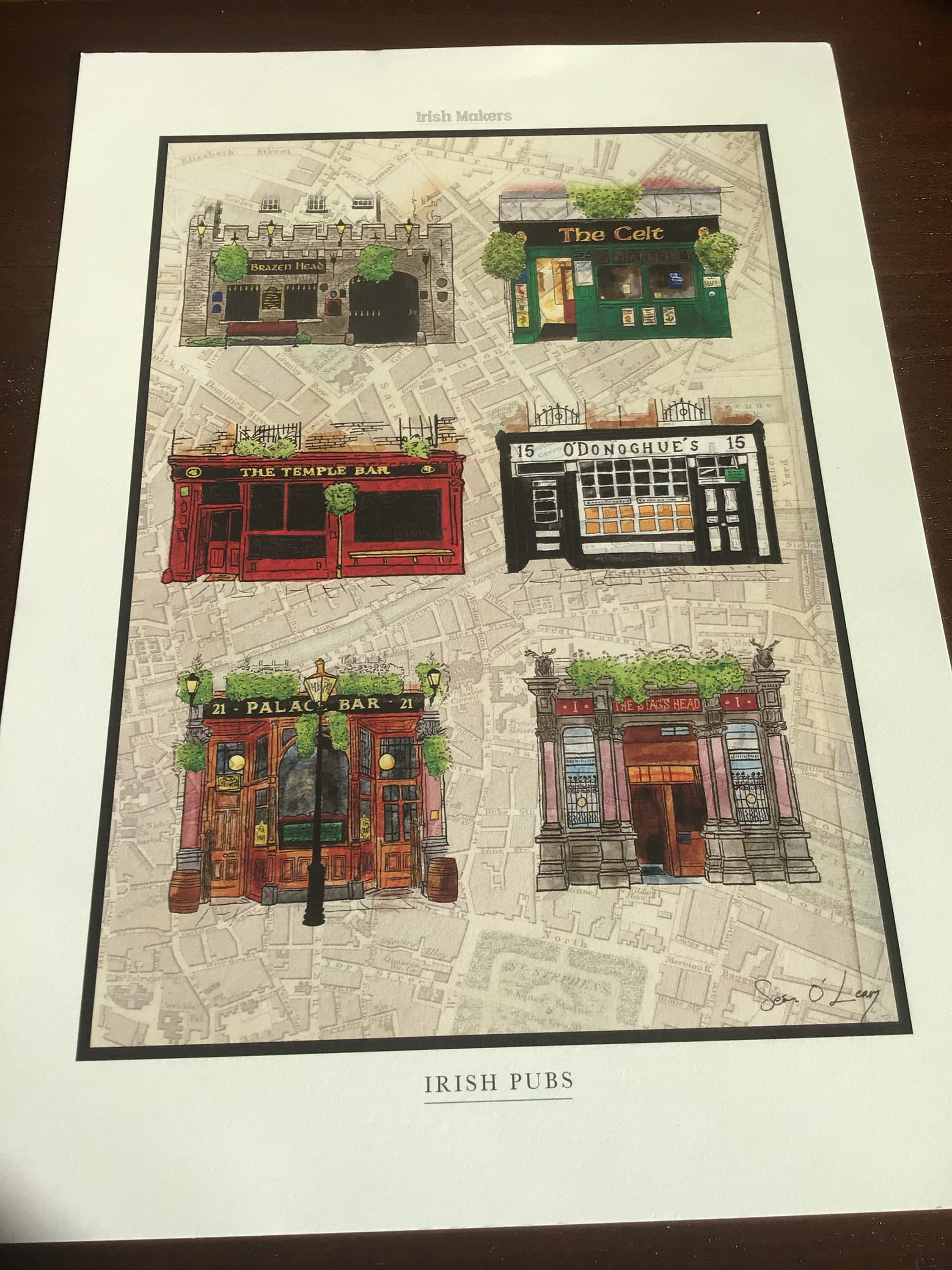 Irish Pubs on Vintage Map - A4 Print