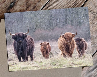 Highland Cow 'The Herd' Greetings Card, Animal Lover card