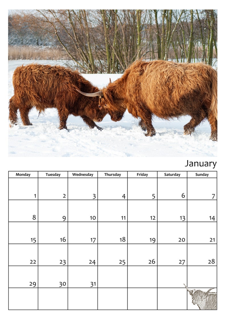 Highland Cattle Calendar 2024 Calendrier mural 12 pages A4 à Etsy France