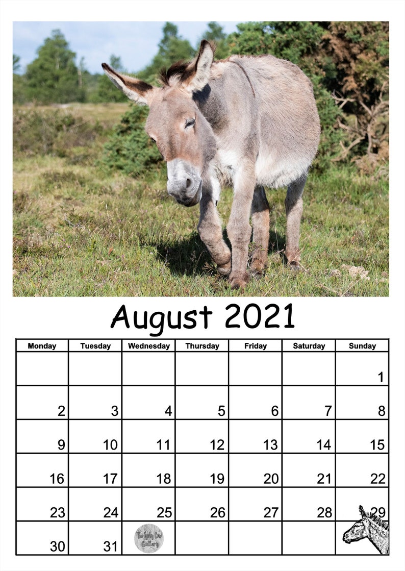 donkey-calendar-2021-12-page-a4-wall-calendar-featuring-13-etsy
