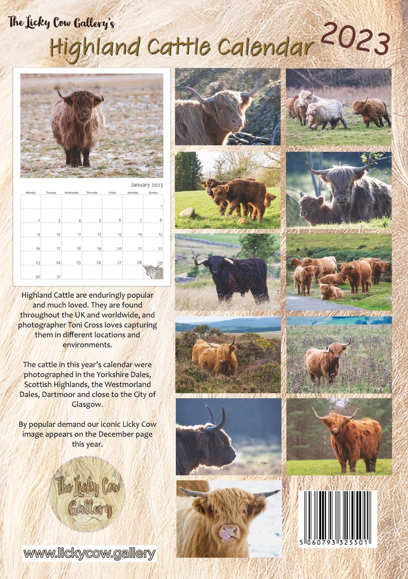 Highland Cattle Calendar 2023 12 Page A4 Wall Calendar Spiral Etsy 