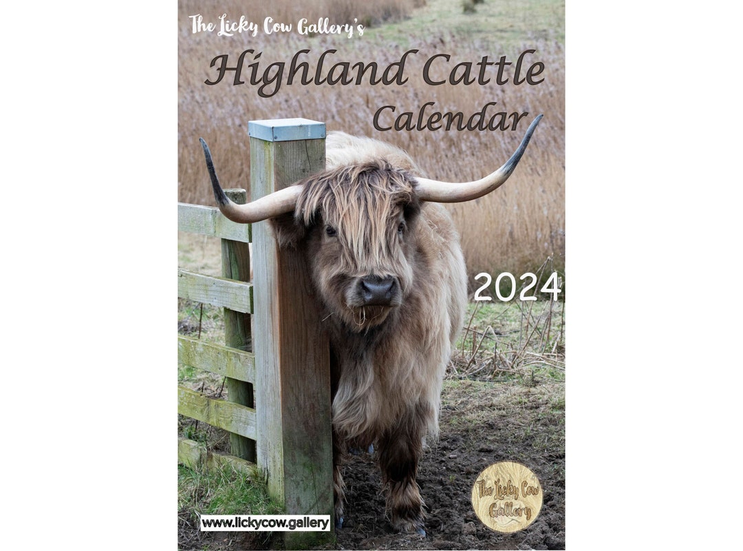 Highland Cattle Calendar 2024 12 Page A4 Wall Calendar Spiral Etsy
