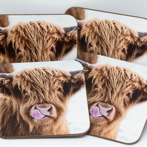 Highland Cattle &#39;Licky Cow&#39; Coaster Set. Four Matching Highland Cow Licking Nose Coasters in Gift Presentation Folder. Free UK Shipping