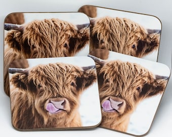 Highland Cow Coaster Set, 'Licky Cow' Photo Art