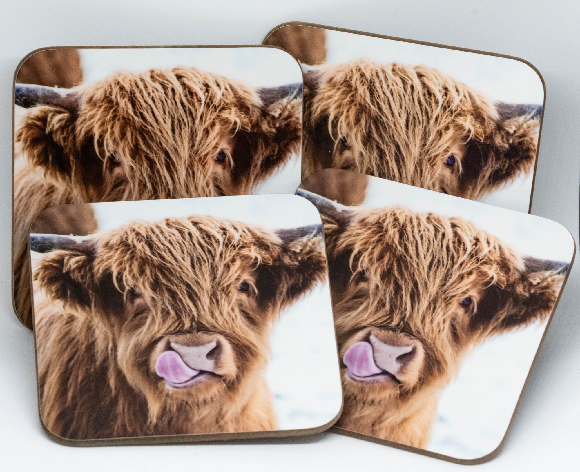 Highland Cattle 'licky Cow' Coaster Set. Four Matching Highland Cow Licking Nose Coasters in