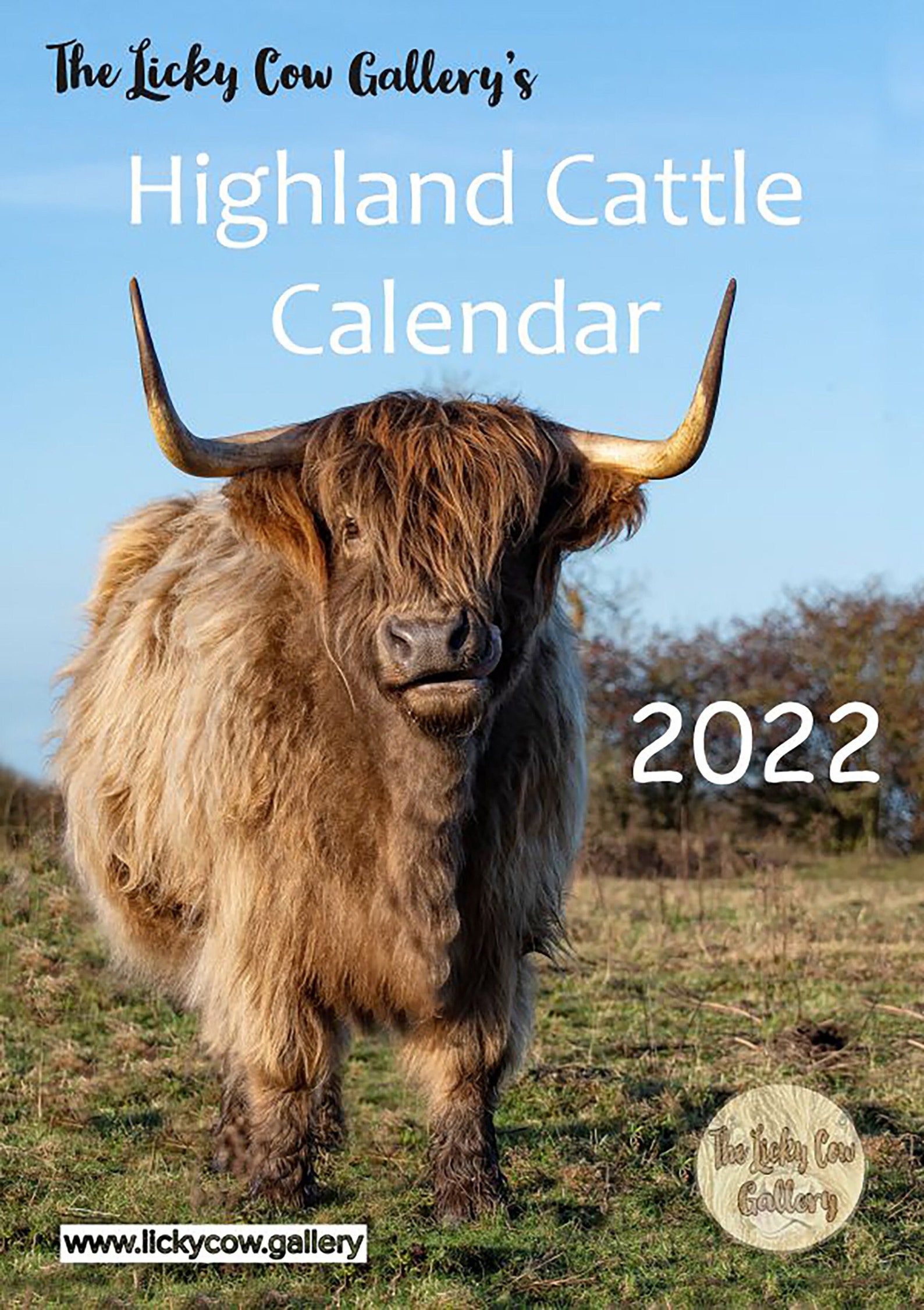 highland-cattle-calendar-2022-12-page-a4-wall-calendar-spiral-etsy