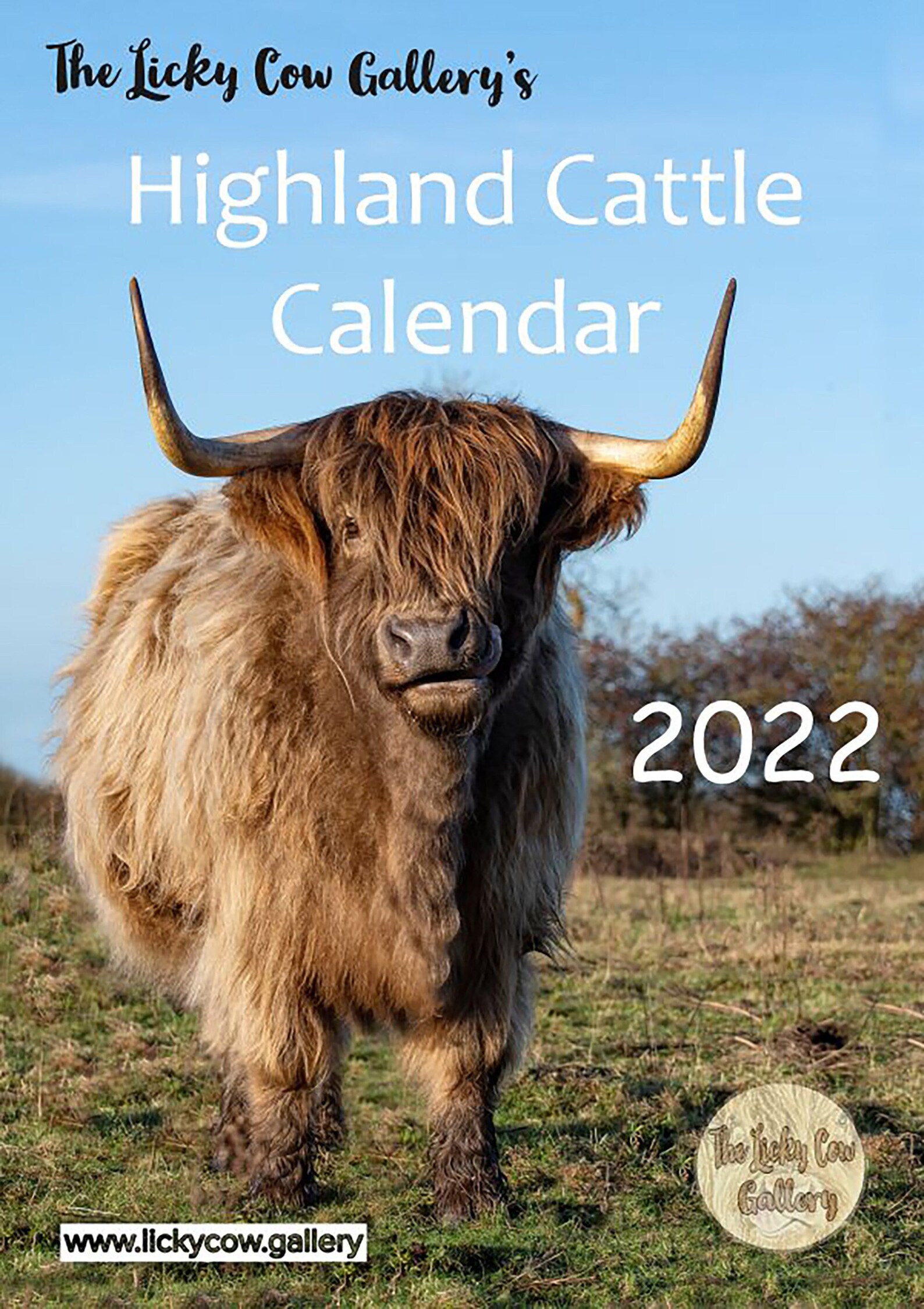 Highland Cattle Calendar 2022 12 Page A4 Wall Calendar Spiral Etsy
