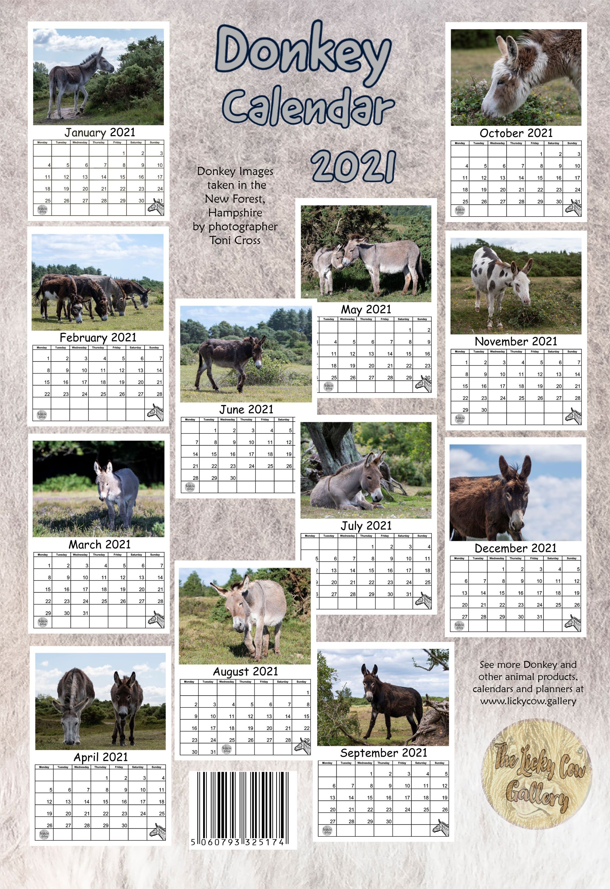 Donkey Calendar 2021 12 Page A4 Wall Calendar Featuring 13 Etsy