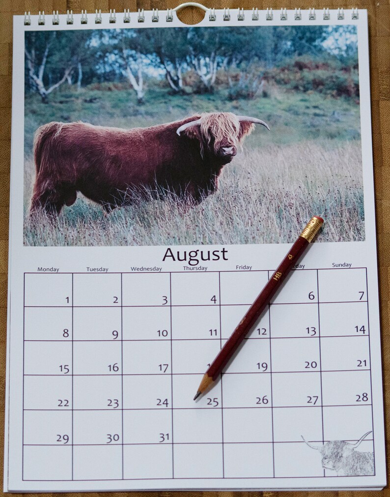 Highland Cattle Calendar 2022 12 Page A4 Wall Calendar Spiral Etsy
