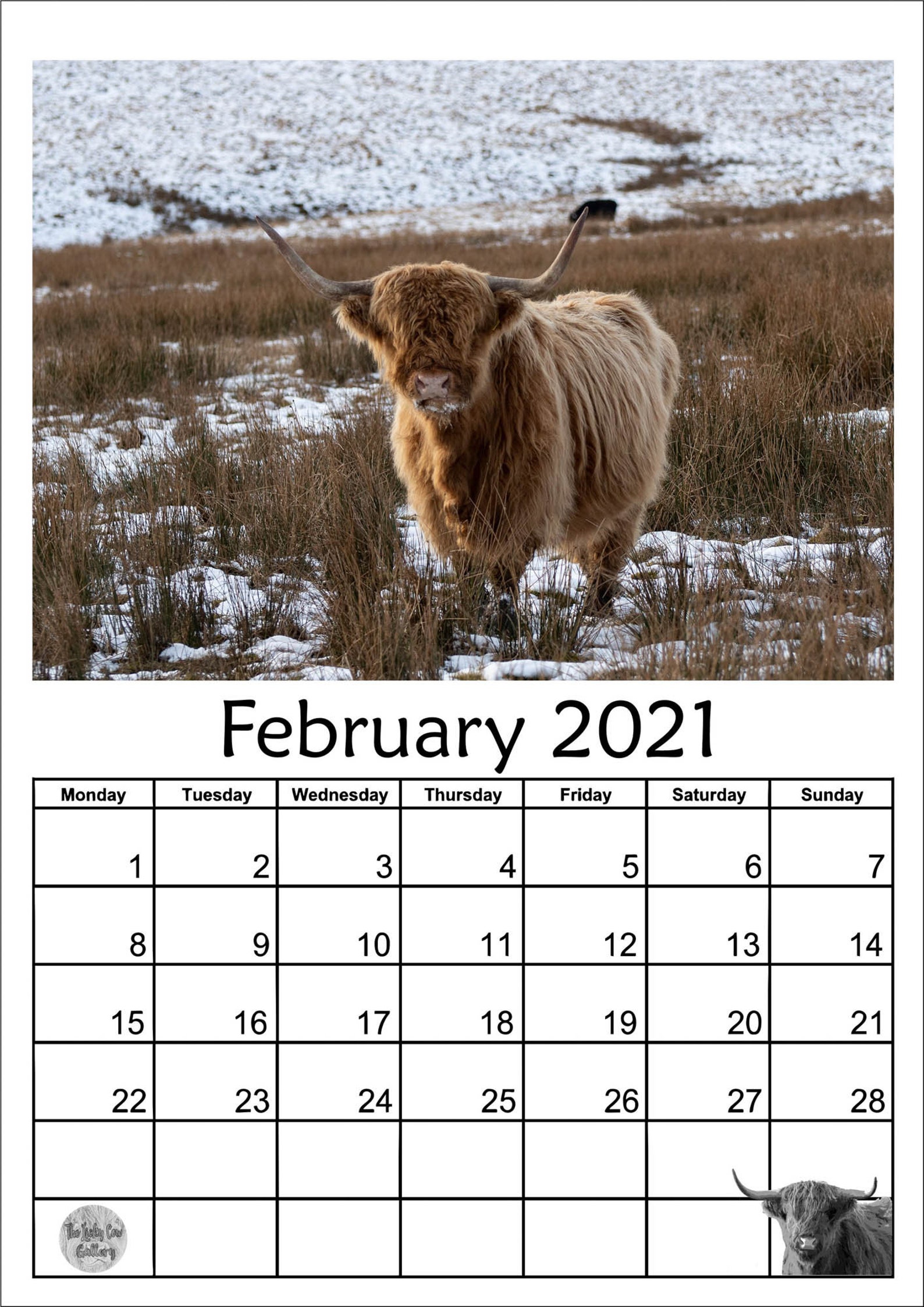 Highland Cattle Calendar 2021 12 Page A4 Wall Calendar Last Etsy