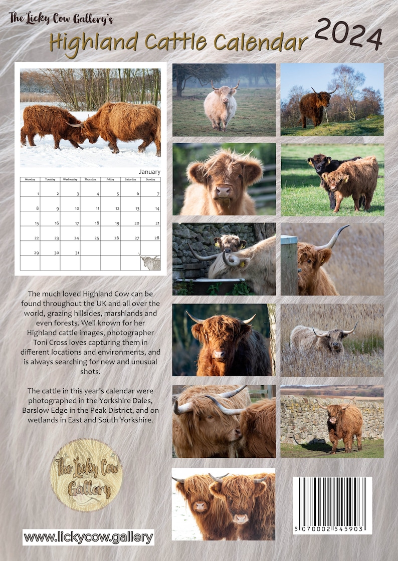 Highland Cattle Calendar 2024 Calendario de pared A4 de 12 Etsy España