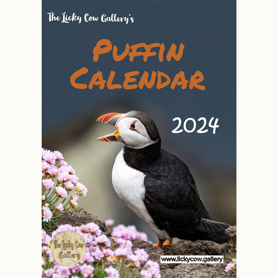 Puffin Calendar 2024 12 Page A4 Wall Calendar Spiral Bound Etsy UK
