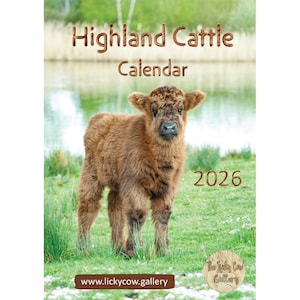 Highland Cattle Calendar 2026 12 Page A4 Wall Calendar Spiral Bound with Hanger. New Highland Cow Images by photographer Toni Cross