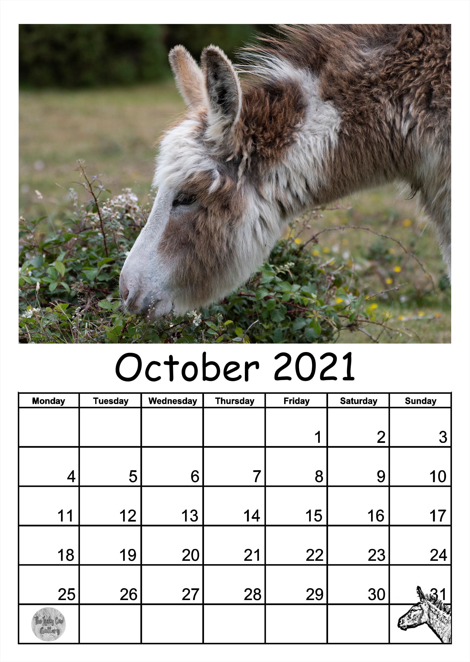 donkey-calendar-2021-12-page-a4-wall-calendar-featuring-13-etsy