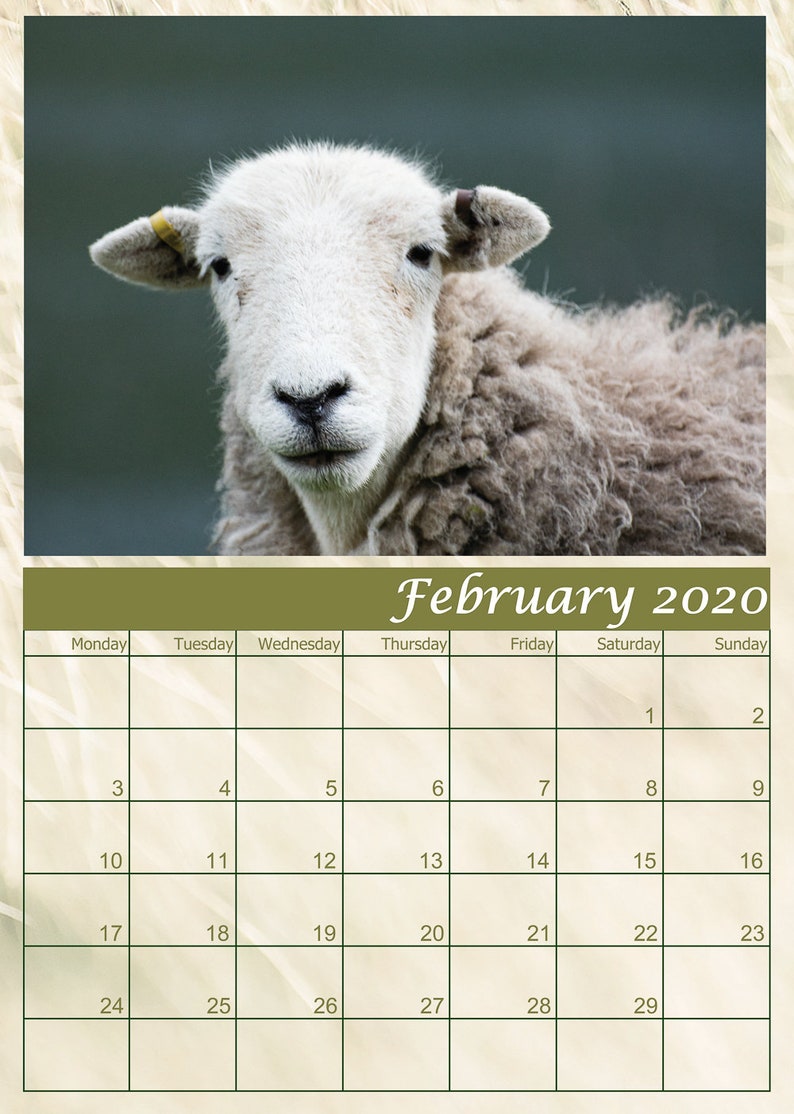 Herdwick Sheep Calendar 2020 12 Page A4 Spiral Bound Calendar Etsy