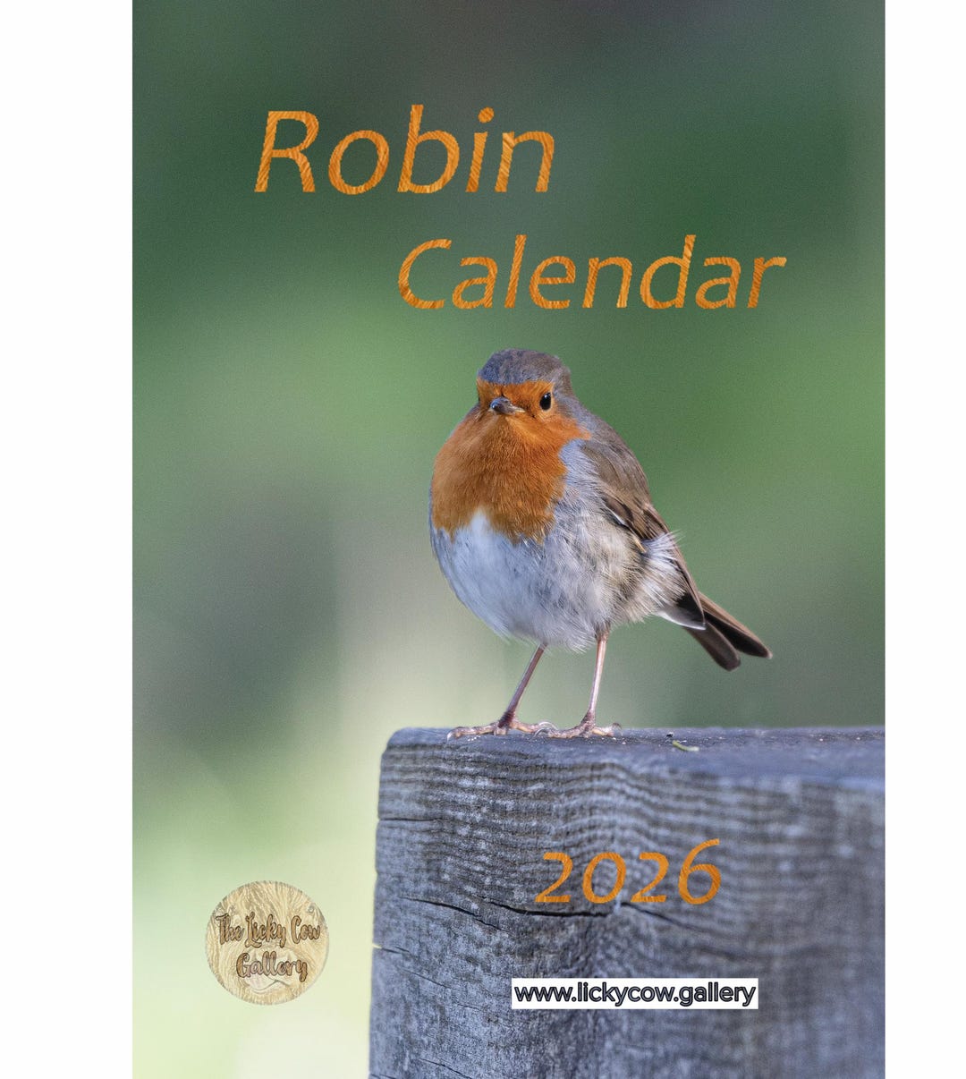 Robin Calendar 2026 12 Page A4 Wall Calendar Spiral Bound With Hanger ...