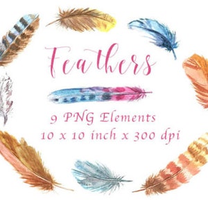 Watercolor Feathers Watercolor Clipart Wall Art Textile Design Scrapbooking Card Making Paper Crafts Digital download Clipart