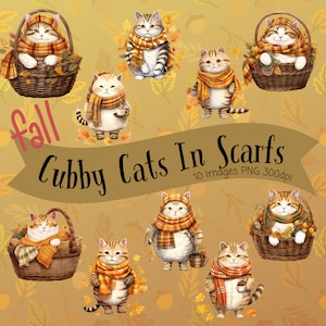 Schattig herfst kat clipart met sjaals grillige val Cubby kat clipart herfst thema kat clipart kat clipart voor digitale ambachten kaart maken