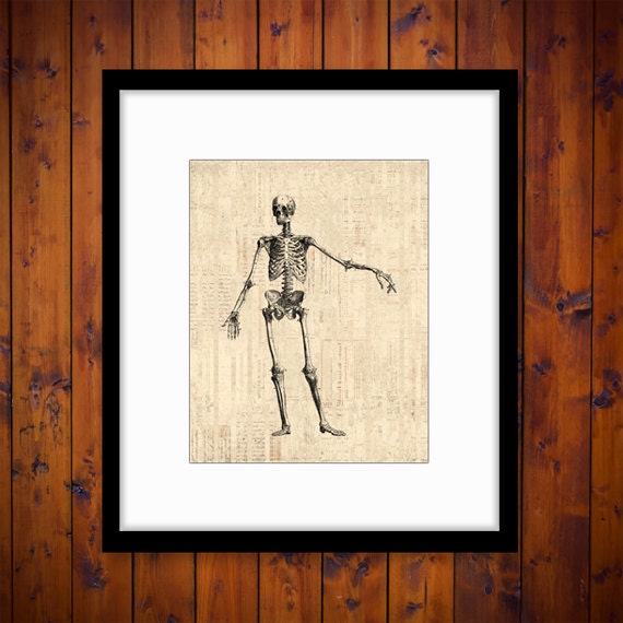 Antique Skeleton Diagram Art Wall Art Medical Artwork Print | Etsy