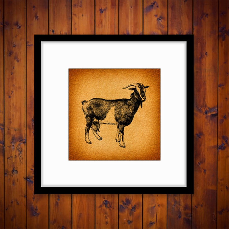Vintage Goat Print Farm Animal Home Decor Antique Goat Print Etsy