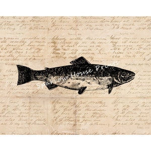Trout Art Vintage Print Fish Fishing Wall Art Antique Artwork | Etsy