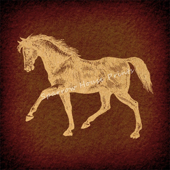 Black Horse Antique Artwork Animal Print Vintage Wall Art in Etsy
