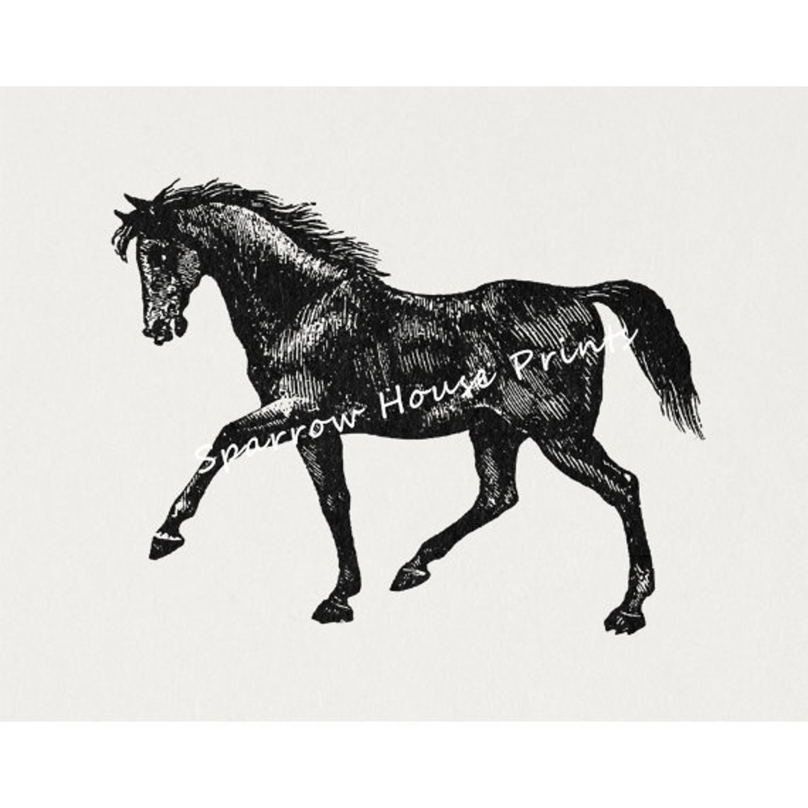 Vintage Art Black Horse Print Animal Wall Art Antique Artwork Etsy