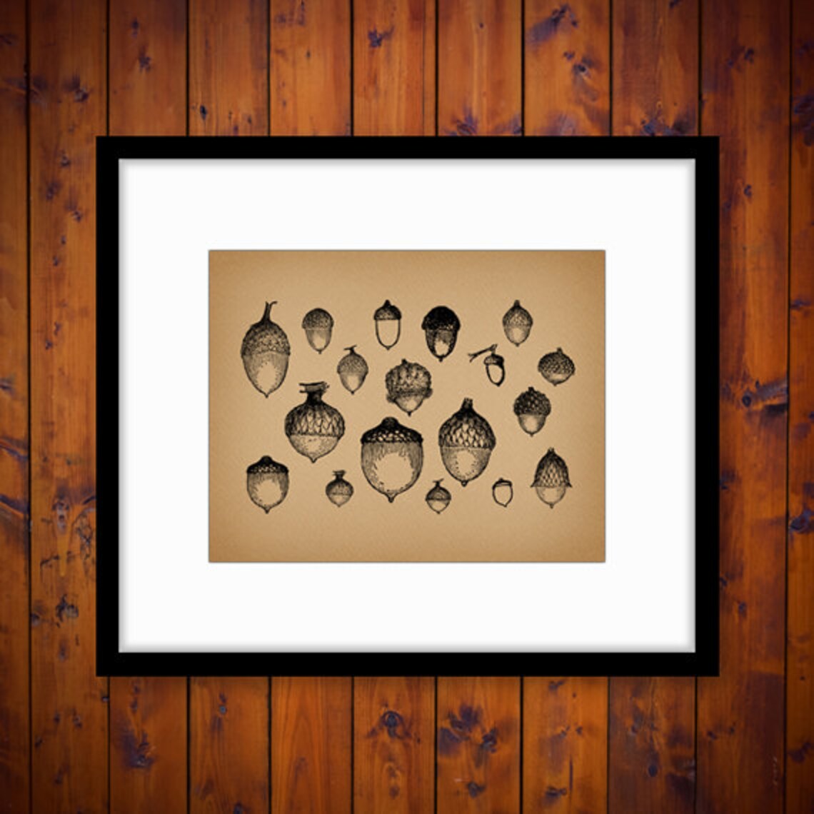 Vintage Acorn Print Wall Art Tree Artwork Home Decor Antique Etsy