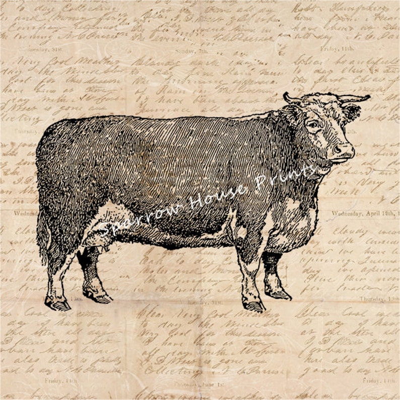 Hereford Cow Art Vintage Wall Art Farm Animal Print Antique Etsy