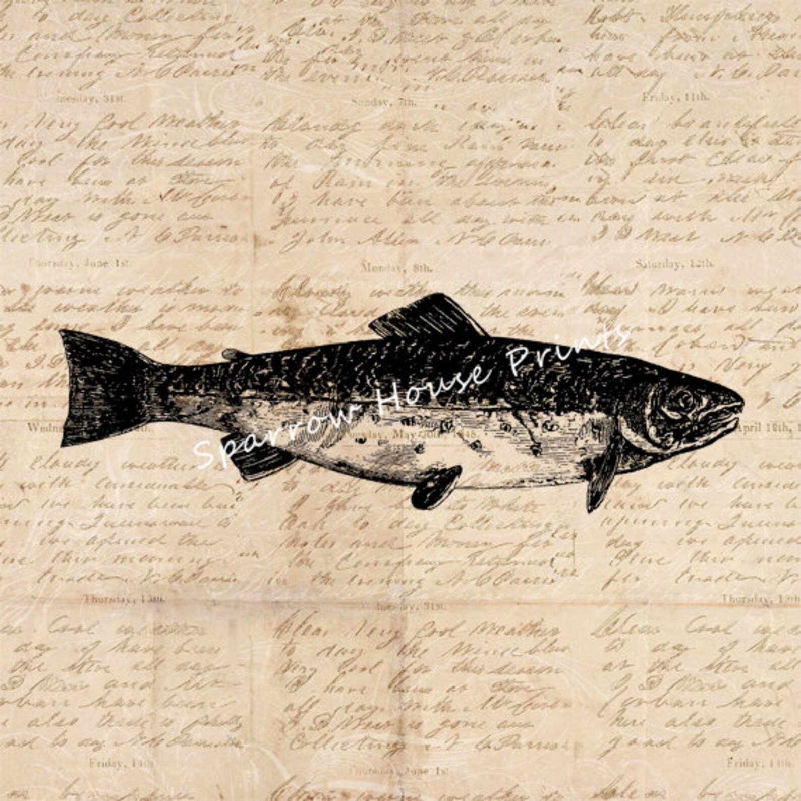 Trout Art Vintage Print Fish Fishing Wall Art Antique Artwork | Etsy