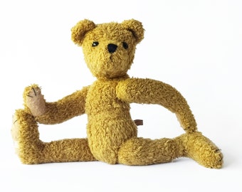 barbara bukowski design bear