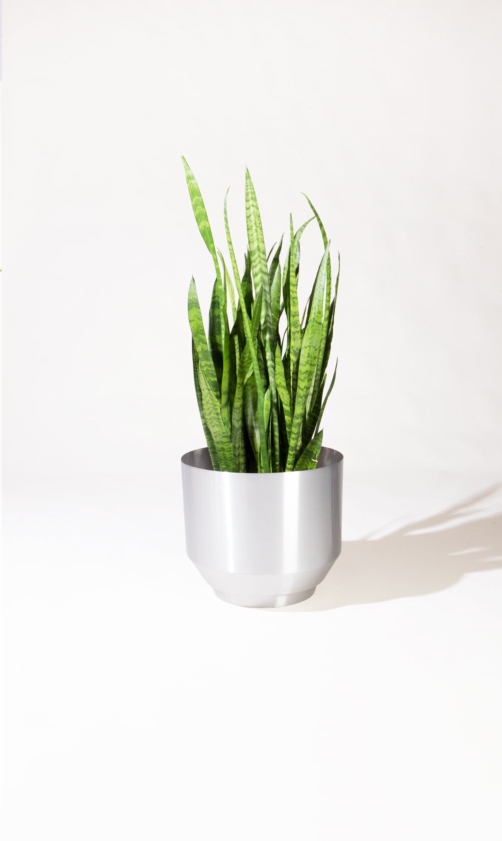 16 Planteur Filé - Aluminium