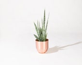 8" Spun Planter - Copper