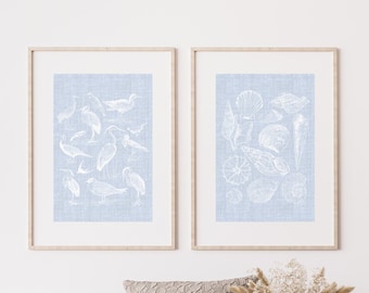 Coastal Granddaughter Vintage Aesthetic Wall Art Prints, Vintage seashells, vintage birds, Coastal Cowgirl Dorm Room Decor, blue linen print