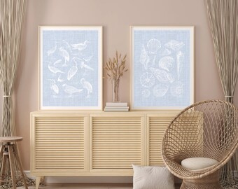 Coastal Granddaughter Vintage Aesthetic Wall Art Prints, Vintage seashells, vintage birds, Coastal Cowgirl Dorm Room Decor, blue linen print