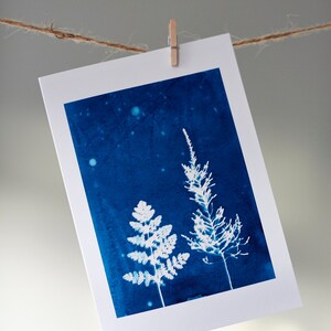 fern trees, night sky card from original cyanotype