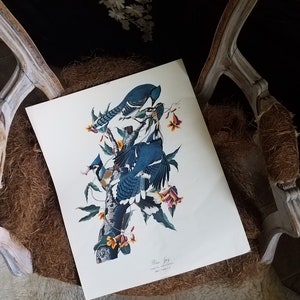 c1960&#39;s James Aubudon Giclee Bird Print Blue Jay Birds of America Elephant Folio 17&quot; x 14&quot;