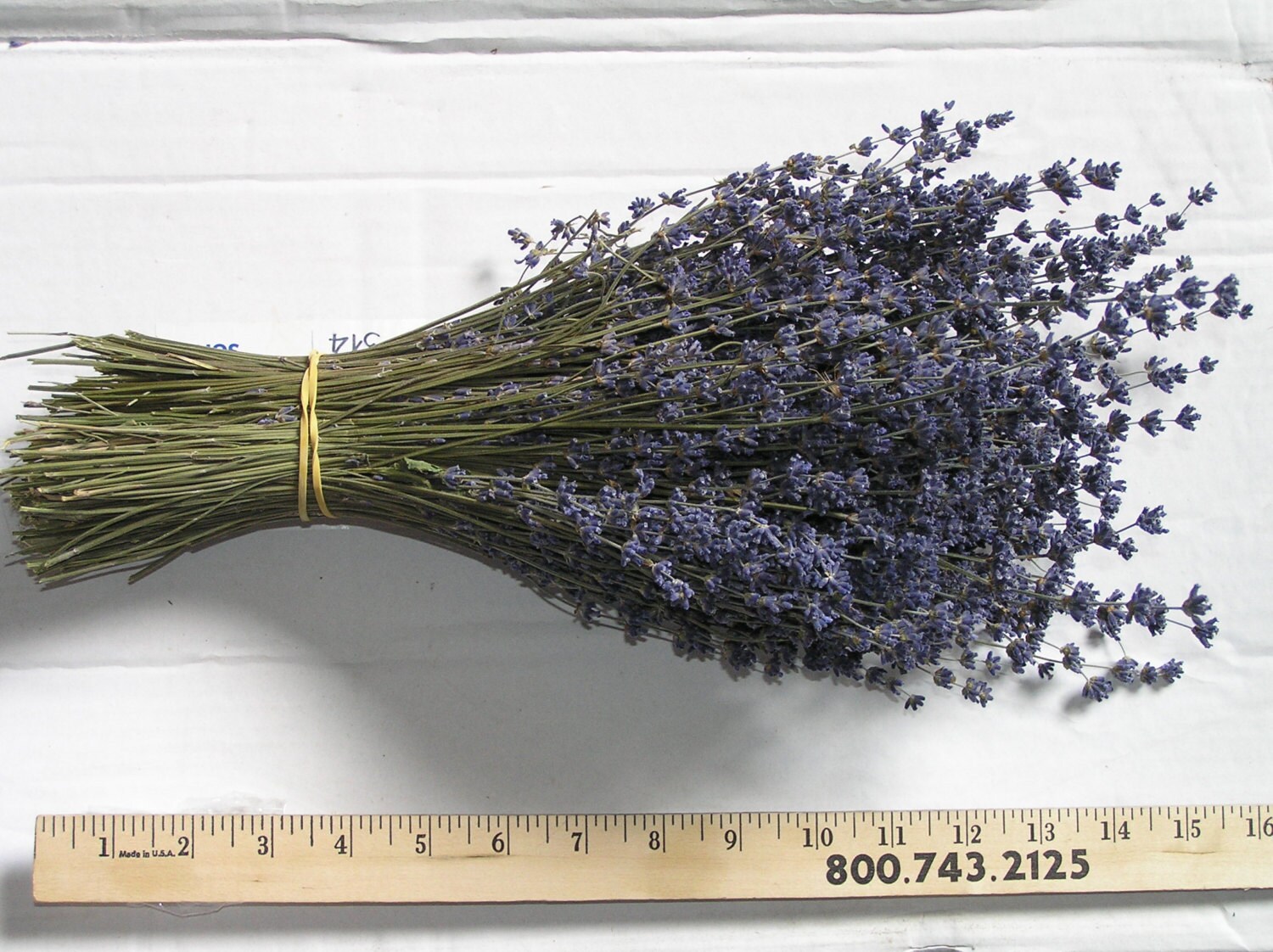 Lavender 6 Bunches of Dried English Lavender for 30 Dollars Etsy