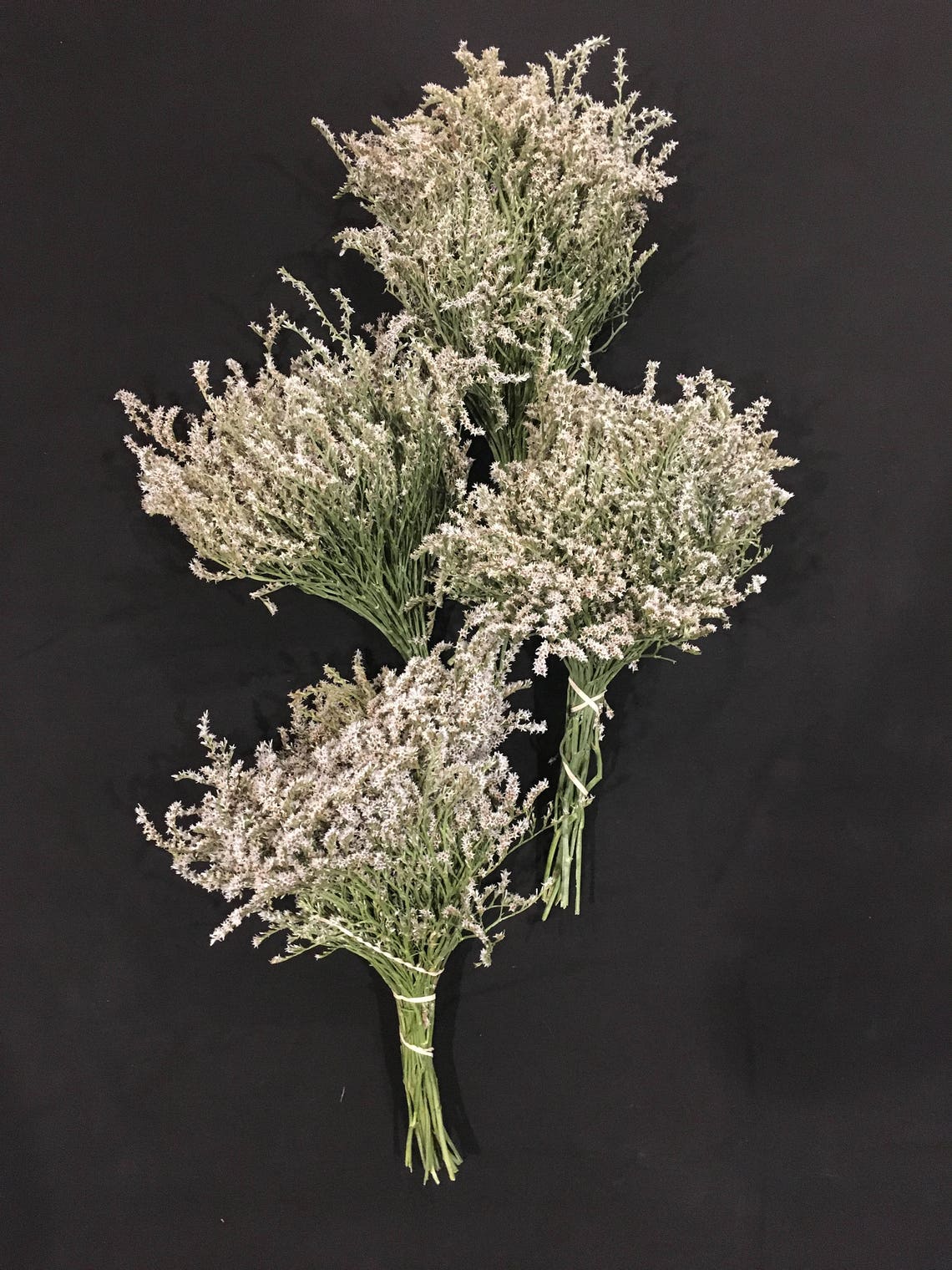 1 lbs Box German Statice Dried Etsy