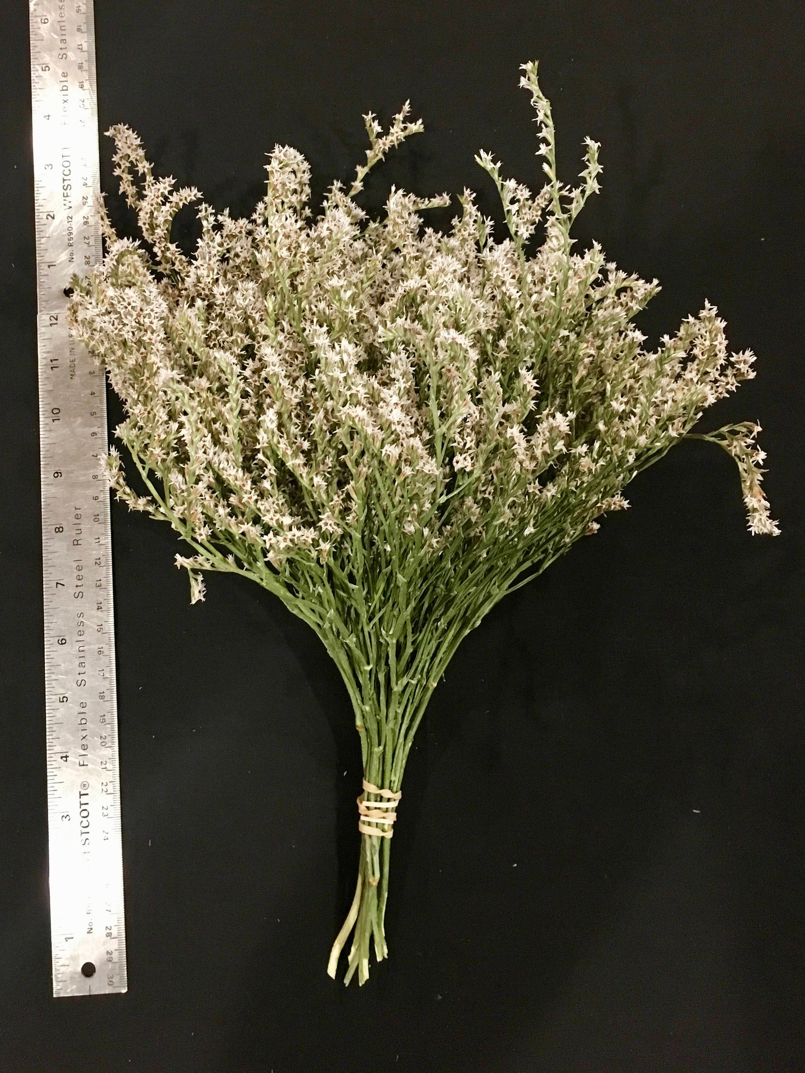 1 lbs Box German Statice Dried Etsy