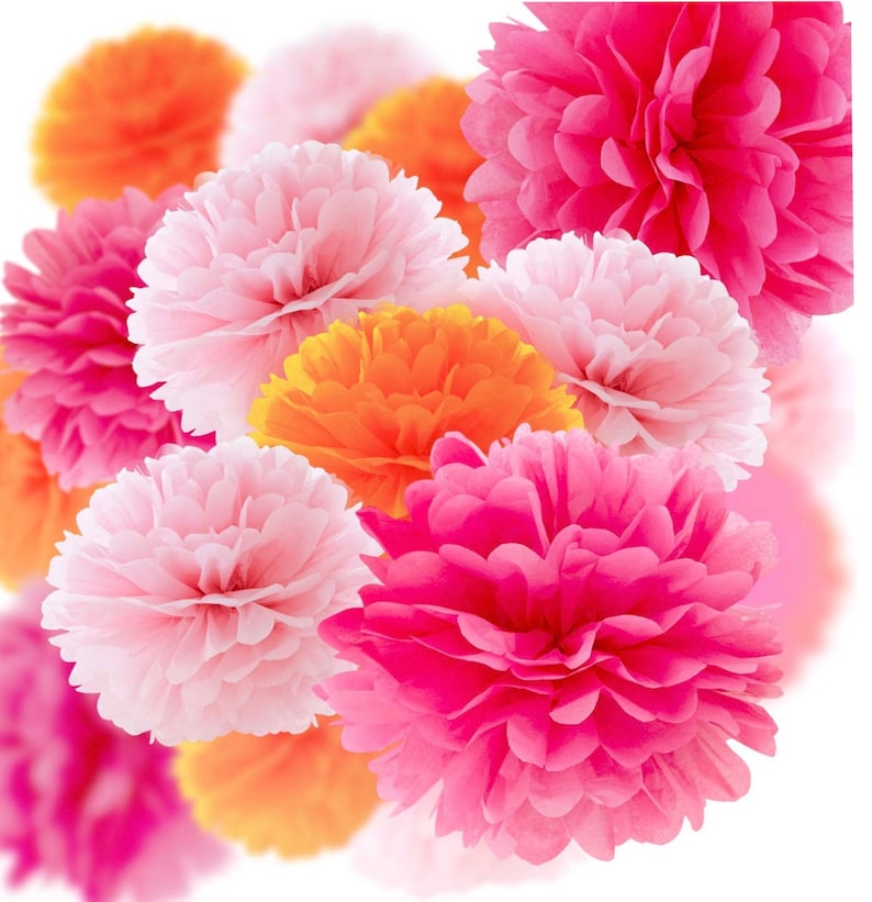 May include: A set of tissue paper pom-poms in pink and orange shades. The pom-poms are arranged in a cluster, with the largest pom-pom in the center.