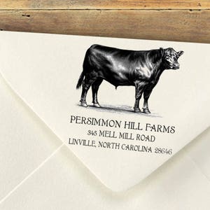 Custom Self Inking Rubber Stamp, Farm Return Address Stamp, Personalized Stamp, Return Address Stamp, Business Stamp, Retail Store Stamp