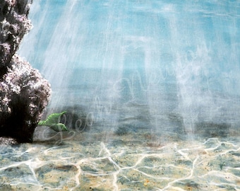 Mermaid Lagoon Giclée Art Print