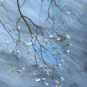 Dogwood Branch