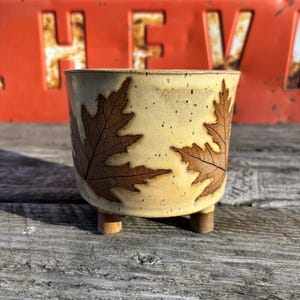 May include: A beige ceramic planter with three small legs. The planter features a brown leaf design around the exterior. The background includes a weathered orange surface with the letters "HEV".