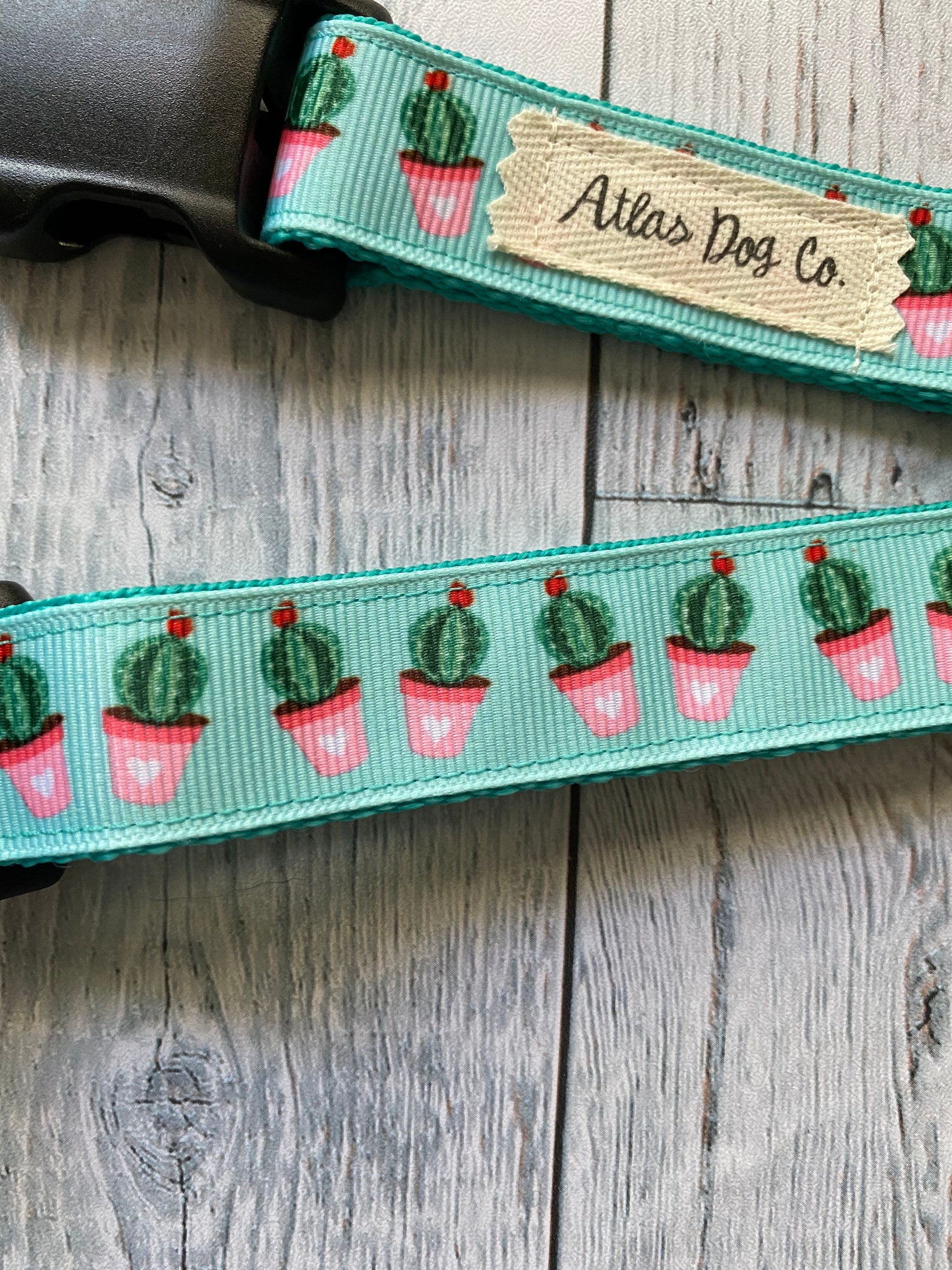 Potted Cactus Collar | Etsy