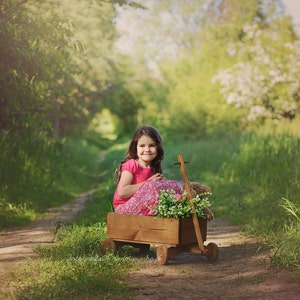 CART PROP VINTAGE style newborn, sitter baby prop, wooden cart photo prop, photography props, newborn props, wooden, children photoprop image 6