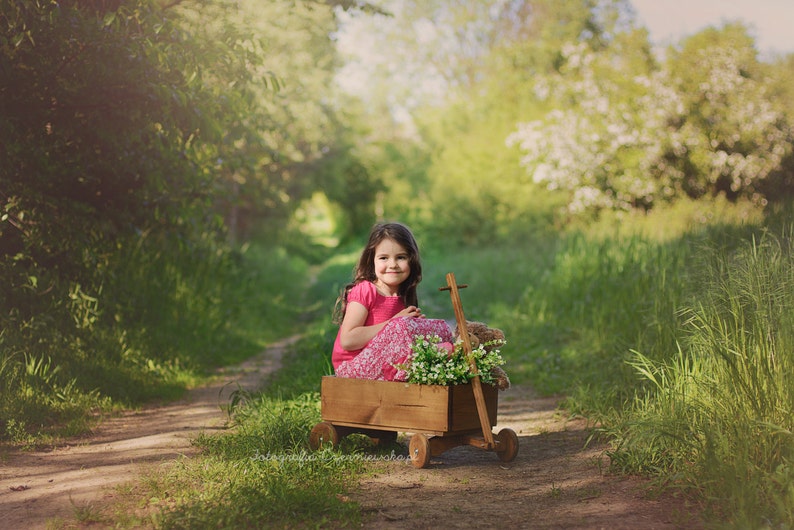 CART PROP VINTAGE style newborn, sitter baby prop, wooden cart photo prop, photography props, newborn props, wooden, children photoprop image 6